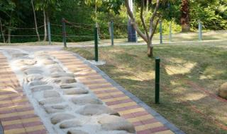 深圳羊台山爬山攻略 深圳羊台山攻略