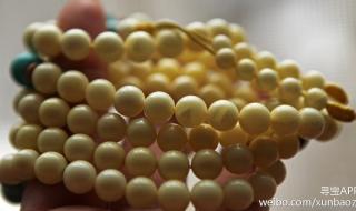 终极鉴定师 终极鉴定师