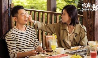 赖猫的狮子倒影小说