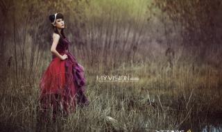 一个人的天荒地老