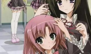 真后宫动漫 真后宫动漫