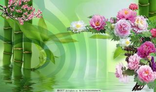 3D数字找规律的技巧 3D数字找规律的技巧