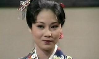 天龙八部汤镇业版 天龙八部汤镇业版