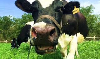 大连有什么好玩的地方 大连有什么好玩的地方