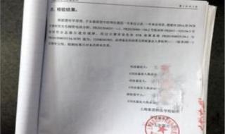 亲子鉴定申请书 亲子鉴定申请书