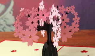 教师节立体贺卡制作 教师节立体贺卡制作