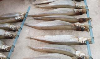 北海哪里吃海鲜便宜