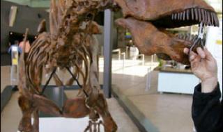 阿根廷生活水平怎么样 阿根廷生活水平怎么样